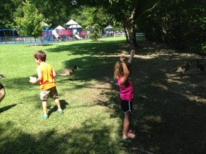 20130624-164953.jpg