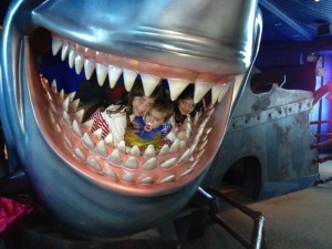 IMG_3927_12-03-2013