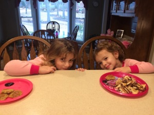 IMG_5025_12-27-2014