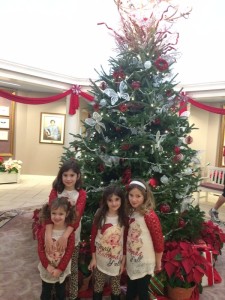 IMG_3234_12-14-2015