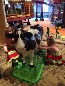 IMG_3358_12-23-2015