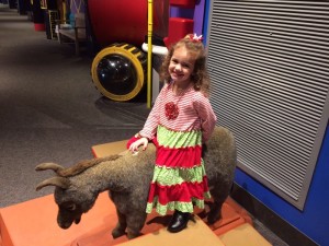 IMG_3363_12-23-2015