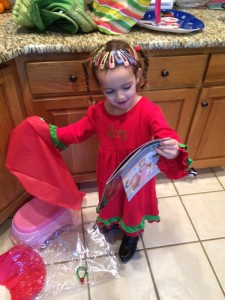 IMG_3413_12-23-2015