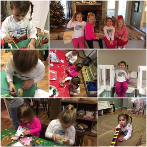 IMG_3659_12-23-2015