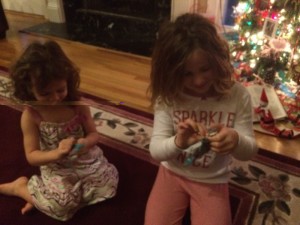 IMG_3664_01-21-2016