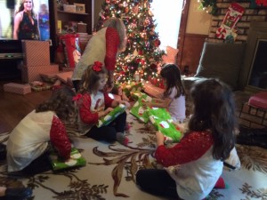 IMG_3761_01-21-2016