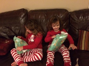 IMG_3781_01-21-2016
