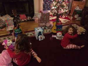 IMG_3801_01-21-2016