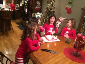 IMG_3858_01-21-2016
