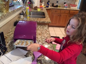 IMG_3865_01-21-2016