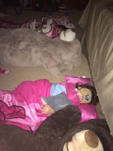 IMG_4010_01-21-2016