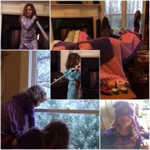 IMG_4266_01-23-2016