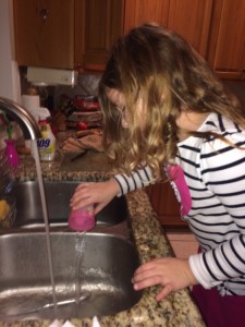 IMG_4314_01-29-2016