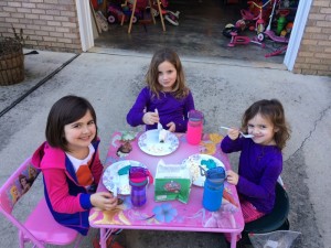 IMG_4348_01-29-2016