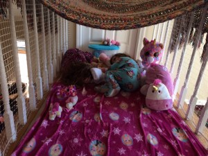IMG_4351_01-31-2016