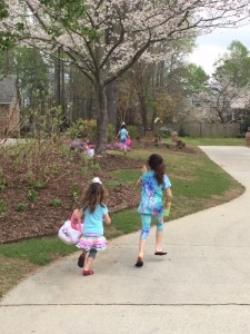 IMG_5212_03-27-2016