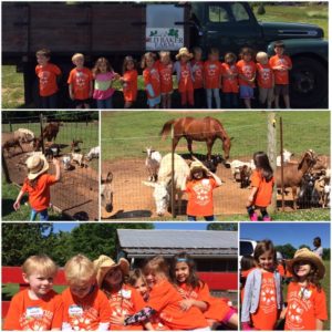 IMG_6110_05-06-2016