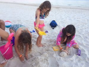 IMG_6954_06-12-2016