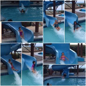 IMG_7515_06-12-2016
