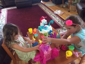 IMG_8042_07-17-2016