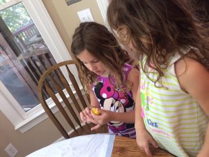 IMG_8063_07-17-2016
