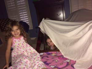 IMG_8088_08-02-2016
