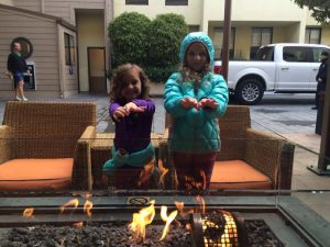 IMG_8379_08-02-2016