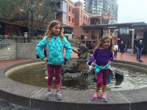 IMG_8385_08-02-2016