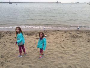 IMG_8399_08-02-2016