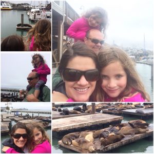 IMG_8681_08-02-2016