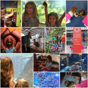 IMG_8821_08-02-2016
