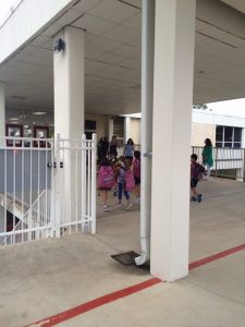 IMG_9006_08-19-2016