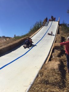 img_0219